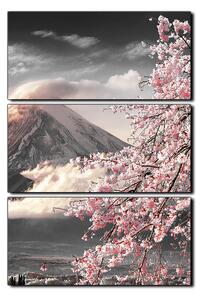 Slika na platnu - Planina Fuji i cvjetanje trešnje u proljeće - pravokutnik 7266QB (90x60 cm )