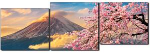 Slika na platnu - Planina Fuji i cvjetanje trešnje u proljeće - panorama 5266E (150x50 cm)