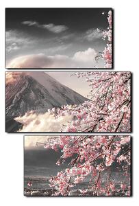 Slika na platnu - Planina Fuji i cvjetanje trešnje u proljeće - pravokutnik 7266QD (120x80 cm)