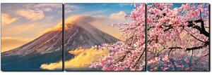 Slika na platnu - Planina Fuji i cvjetanje trešnje u proljeće - panorama 5266C (150x50 cm)