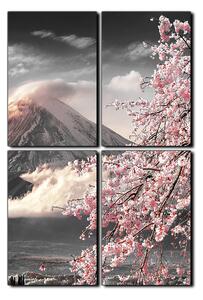 Slika na platnu - Planina Fuji i cvjetanje trešnje u proljeće - pravokutnik 7266QE (90x60 cm)