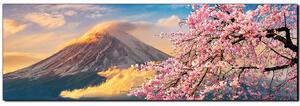 Slika na platnu - Planina Fuji i cvjetanje trešnje u proljeće - panorama 5266A (105x35 cm)