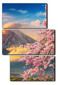 Slika na platnu - Planina Fuji i cvjetanje trešnje u proljeće - pravokutnik 7266D (90x60 cm)