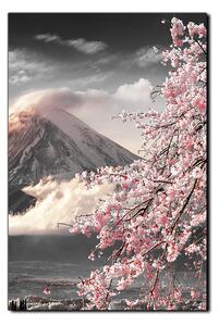 Slika na platnu - Planina Fuji i cvjetanje trešnje u proljeće - pravokutnik 7266QA (100x70 cm)