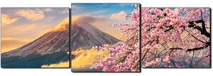 Slika na platnu - Planina Fuji i cvjetanje trešnje u proljeće - panorama 5266D (90x30 cm)