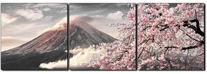 Slika na platnu - Planina Fuji i cvjetanje trešnje u proljeće - panorama 5266QB (90x30 cm)