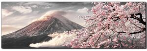 Slika na platnu - Planina Fuji i cvjetanje trešnje u proljeće - panorama 5266QA (105x35 cm)