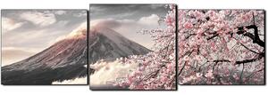 Slika na platnu - Planina Fuji i cvjetanje trešnje u proljeće - panorama 5266QD (90x30 cm)