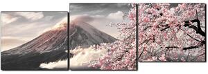 Slika na platnu - Planina Fuji i cvjetanje trešnje u proljeće - panorama 5266QE (150x50 cm)