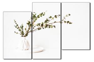 Slika na platnu - Grana eukaliptusa u bijeloj vazi na bijeloj pozadini 1272D (90x60 cm)