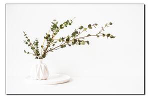 Slika na platnu - Grana eukaliptusa u bijeloj vazi na bijeloj pozadini 1272A (100x70 cm)