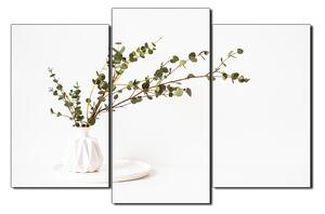 Slika na platnu - Grana eukaliptusa u bijeloj vazi na bijeloj pozadini 1272C (120x80 cm)