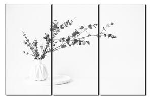 Slika na platnu - Grana eukaliptusa u bijeloj vazi na bijeloj pozadini 1272QB (150x100 cm)