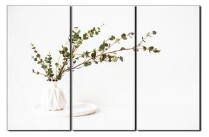 Slika na platnu - Grana eukaliptusa u bijeloj vazi na bijeloj pozadini 1272B (90x60 cm )