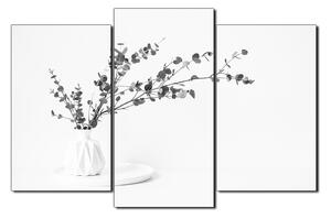 Slika na platnu - Grana eukaliptusa u bijeloj vazi na bijeloj pozadini 1272QC (150x100 cm)