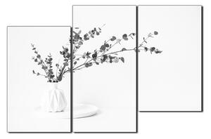 Slika na platnu - Grana eukaliptusa u bijeloj vazi na bijeloj pozadini 1272QD (120x80 cm)