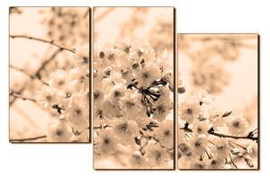 Slika na platnu - Trešnjin cvijet 1279FD (105x70 cm)