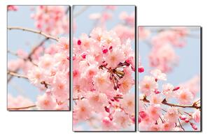 Slika na platnu - Trešnjin cvijet 1279D (150x100 cm)