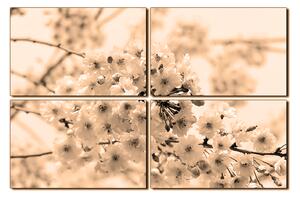 Slika na platnu - Trešnjin cvijet 1279FE (150x100 cm)