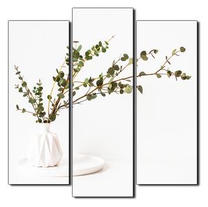Slika na platnu - Grana eukaliptusa u bijeloj vazi na bijeloj pozadini - kvadrat 3272C (75x75 cm)