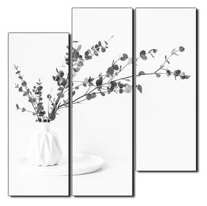 Slika na platnu - Grana eukaliptusa u bijeloj vazi na bijeloj pozadini - kvadrat 3272QD (75x75 cm)