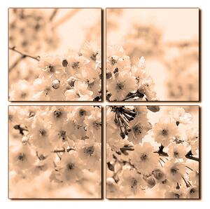 Slika na platnu - Trešnjin cvijet - kvadrat 3279FE (60x60 cm)