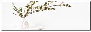 Slika na platnu - Grana eukaliptusa u bijeloj vazi na bijeloj pozadini - panorama 5272A (105x35 cm)