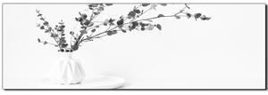 Slika na platnu - Grana eukaliptusa u bijeloj vazi na bijeloj pozadini - panorama 5272QA (105x35 cm)