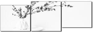 Slika na platnu - Grana eukaliptusa u bijeloj vazi na bijeloj pozadini - panorama 5272QE (90x30 cm)