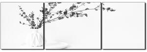 Slika na platnu - Grana eukaliptusa u bijeloj vazi na bijeloj pozadini - panorama 5272QC (150x50 cm)
