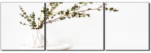 Slika na platnu - Grana eukaliptusa u bijeloj vazi na bijeloj pozadini - panorama 5272C (90x30 cm)