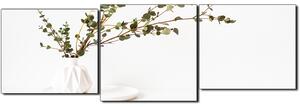 Slika na platnu - Grana eukaliptusa u bijeloj vazi na bijeloj pozadini - panorama 5272D (90x30 cm)