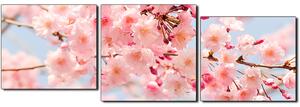 Slika na platnu - Trešnjin cvijet - panorama 5279E (90x30 cm)