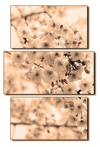 Slika na platnu - Trešnjin cvijet - pravokutnik 7279FC (90x60 cm)