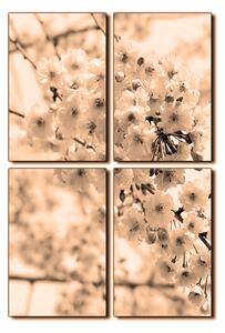 Slika na platnu - Trešnjin cvijet - pravokutnik 7279FE (90x60 cm)