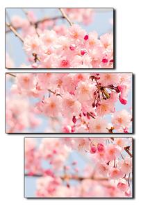 Slika na platnu - Trešnjin cvijet - pravokutnik 7279D (90x60 cm)