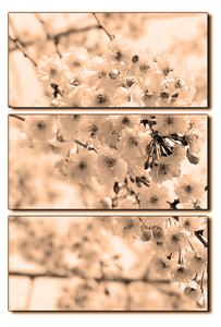 Slika na platnu - Trešnjin cvijet - pravokutnik 7279FB (90x60 cm )