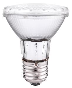 HALO ŽARULJA 50W E27 PAR20 230V 25° 5941029897026