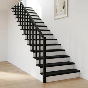 Step treads 2 kom. 100 x 30 x 2 cm Crna Čvrsto drvo bukve - Crna 100 x 30 x 2 cm 2