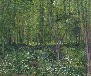 Vincent van Gogh - Reprodukcija Trees and Undergrowth, 1887, (40 x 35 cm)