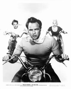 Fotografija Mary Murphy and Marlon Brando In 'The Wild One', Archive Photos