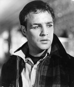 Fotografija Marlon Brando In 'On The Waterfront', Archive Photos