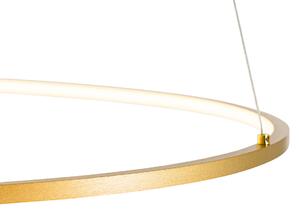 Dizajnerska viseća svjetiljka zlatna 72 cm s LED 3-stupanjskom prigušivanjem - Rowan