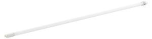 Eglo LED cjevasta žarulja (Duljina: 121,4 cm, Neutralno bijelo, 15 W, 2.500 lm, G13)