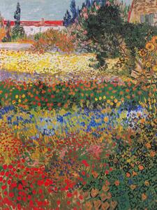 Reprodukcija Garden in Bloom, Arles, July 1888, Vincent van Gogh