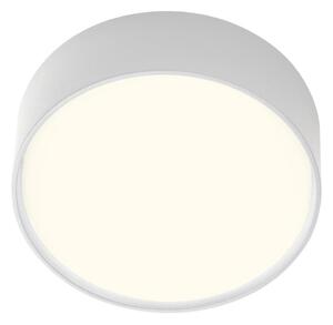 Redo 90494 - LED Vanjska stropna svjetiljka URANIA LED/10W/230V 3000K IP65 bijela