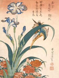 Hokusai, Katsushika - Reprodukcija umjetnosti Kingfisher, (30 x 40 cm)