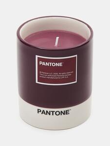Sinsay - Svijeća Pantone