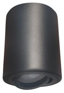 Reflektorska svjetiljka 1xGU10/35W/230V