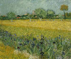 Reprodukcija Field with Flowers near Arles, 1888, Vincent van Gogh